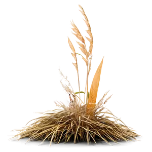 Vintage Dry Grass Png Jen44 PNG Image