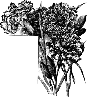 Vintage Floral Etching Black White PNG Image