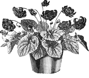 Vintage Floral Pot Illustration PNG Image