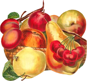 Vintage Fruit Basket Illustration PNG Image