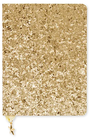 Vintage Glitter Diary Cover PNG Image