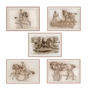 Vintage Horse Illustrations Collage PNG Image