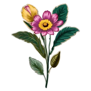 Vintage Indie Flower Graphic Png Ihb PNG Image