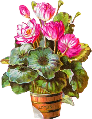 Vintage Lotus Flowers Artwork PNG Image