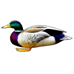 Vintage Mallard Duck Png Ari PNG Image