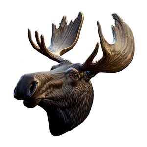 Vintage Moose Head Sketch Png 06292024 PNG Image