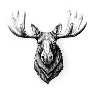 Vintage Moose Head Sketch Png Opt42 PNG Image