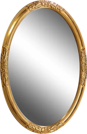 Vintage Oval Gold Frame Mirror PNG Image