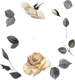 Vintage Rose Sketch Design PNG Image