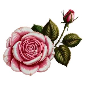 Vintage Rose Vector Print Png Ajq28 PNG Image