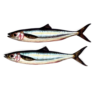 Vintage Sardine Png 25 PNG Image