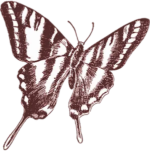 Vintage Style Butterfly Illustration PNG Image