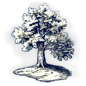 Vintage Tree Etching Png Rmq90 PNG Image