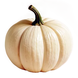 Vintage White Pumpkin Png Dxy58 PNG Image