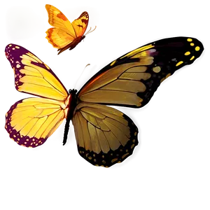 Vivid Butterfly Png Ltf94 PNG Image