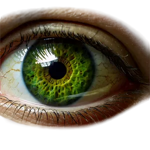 Vivid Green Human Eye Png Uir35 PNG Image