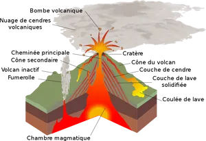 Volcano_ Structure_and_ Eruption_ Diagram PNG Image