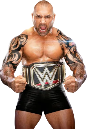 W W E Champion Batista Pose PNG Image