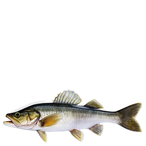 Walleye Fish Png Idp PNG Image