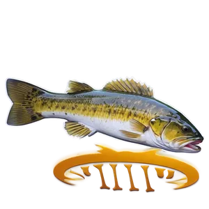 Walleye Fishing Trip Png Hsx PNG Image