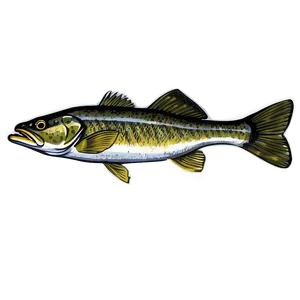 Walleye Illustration Png 36 PNG Image