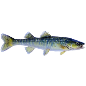 Walleye Scales Png 06262024 PNG Image