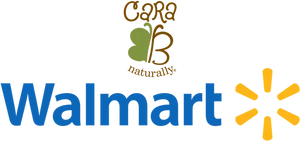 Walmart Logowith Additional Branding PNG Image