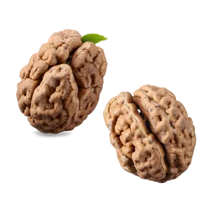 Walnut Cluster Png 68 PNG Image