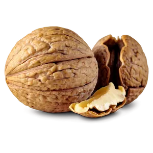 Walnut Drawing Png Vrn8 PNG Image