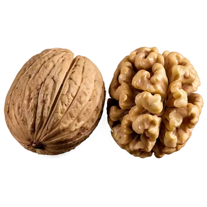 Walnut Kernel Png 06122024 PNG Image