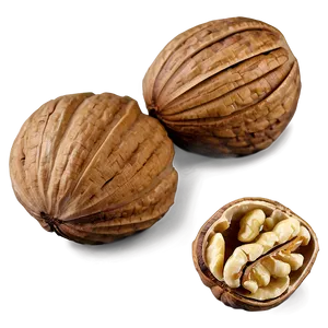 Walnut Piece Png 9 PNG Image