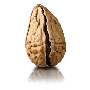 Walnut Png Flg PNG Image