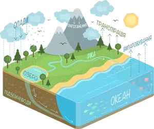 Water_ Cycle_ Illustration PNG Image