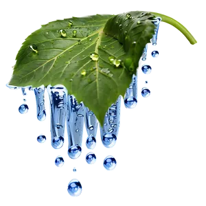 Water Dripping On Leaf Png Cig51 PNG Image