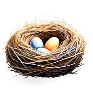 Watercolor Bird Nest Png Cmg PNG Image