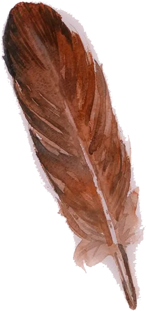 Watercolor Brown Feather Artwork PNG Image