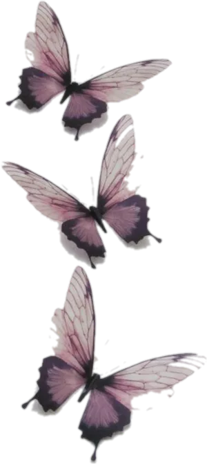 Watercolor Butterflies Artwork PNG Image