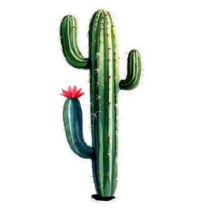 Watercolor Cactus Art Png 69 PNG Image