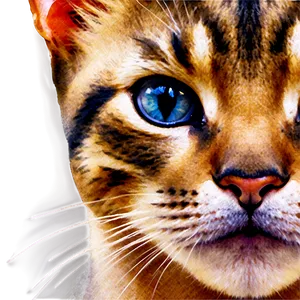 Watercolor Cat Face Png Iyt PNG Image