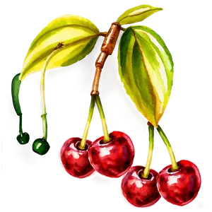 Watercolor Cherries Png Hme PNG Image