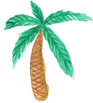 Watercolor Coconut Tree Artwork PNG Image