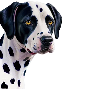 Watercolor Dalmatian Spots Pattern Png Wxl45 PNG Image