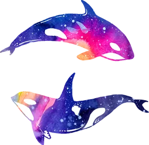 Watercolor Dolphins Artwork PNG Image