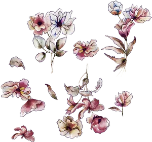 Watercolor_ Floral_ Collection_ Black_ Background PNG Image