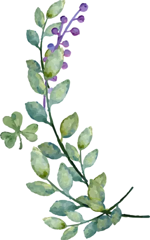 Watercolor Green Leavesand Berries PNG Image