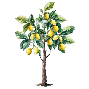 Watercolor Lemon Tree Artwork Png Lpg52 PNG Image