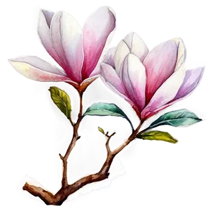 Watercolor Magnolia Tree Art Png 21 PNG Image