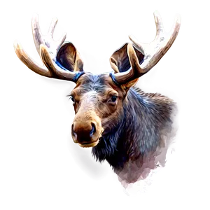 Watercolor Moose Head Painting Png 06292024 PNG Image