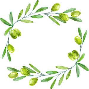 Watercolor Olive Branches Circle PNG Image