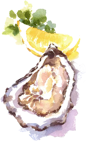 Watercolor Oysterwith Lemon PNG Image